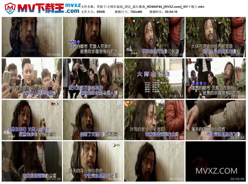 菩提子-大师在流浪_国语_流行歌曲_MD404744